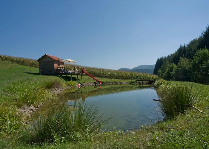 Vakantieboerderij Weingut Winzerhof Gaestezimmer Grebenz *